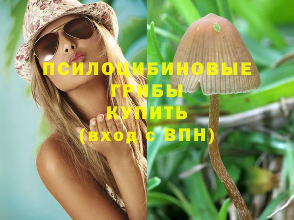 а пвп мука Богданович