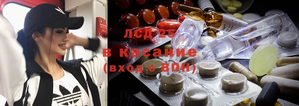 гашик Богородицк