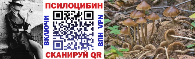 магазин продажи   Луга  Псилоцибиновые грибы Magic Shrooms 